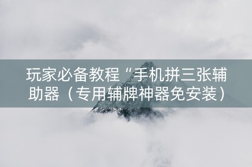 玩家必备教程“手机拼三张辅助器（专用辅牌神器免安装）
