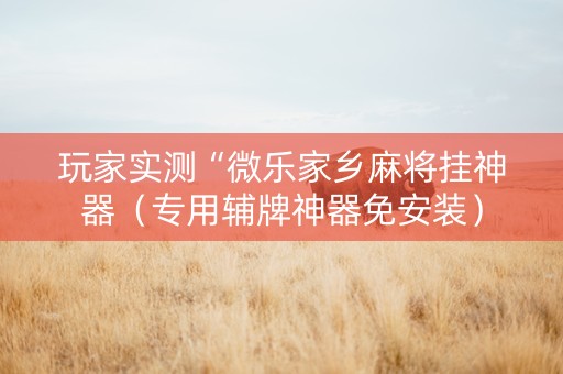 玩家实测“微乐家乡麻将挂神器（专用辅牌神器免安装）