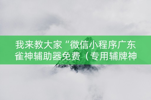 我来教大家“微信小程序广东雀神辅助器免费（专用辅牌神器免安装）