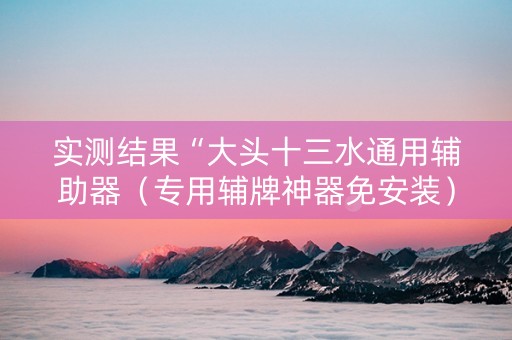 实测结果“大头十三水通用辅助器（专用辅牌神器免安装）