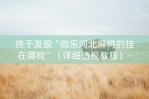 终于发现“微乐河北麻将的挂在哪找”（详细透视教程）-哔哩哔哩