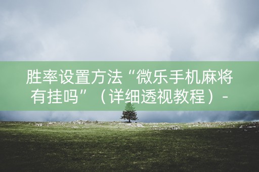 胜率设置方法“微乐手机麻将有挂吗”（详细透视教程）-哔哩哔哩