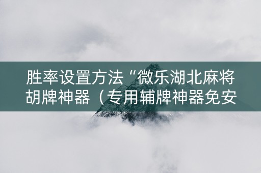 胜率设置方法“微乐湖北麻将胡牌神器（专用辅牌神器免安装）