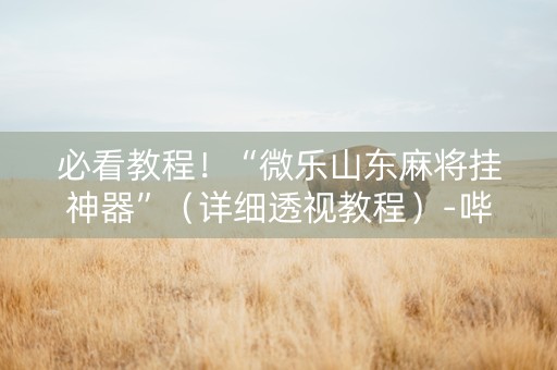 必看教程！“微乐山东麻将挂神器”（详细透视教程）-哔哩哔哩