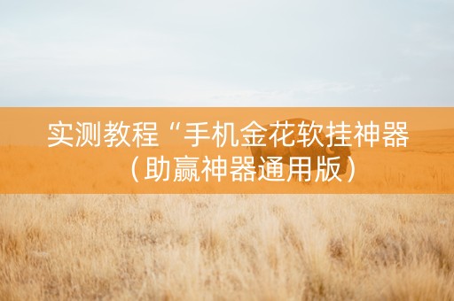 实测教程“手机金花软挂神器（助赢神器通用版）
