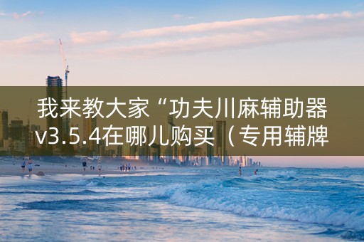 我来教大家“功夫川麻辅助器v3.5.4在哪儿购买（专用辅牌神器免安装）