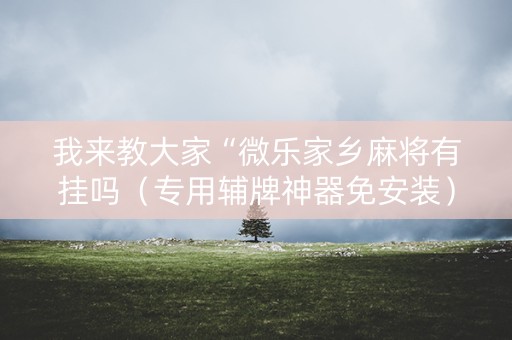 我来教大家“微乐家乡麻将有挂吗（专用辅牌神器免安装）