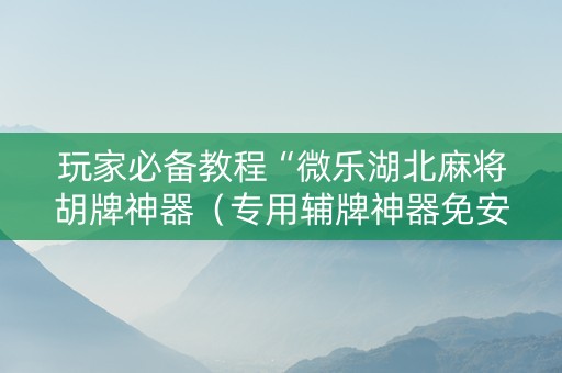 玩家必备教程“微乐湖北麻将胡牌神器（专用辅牌神器免安装）