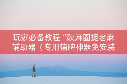 玩家必备教程“陕麻圈捉老麻辅助器（专用辅牌神器免安装）