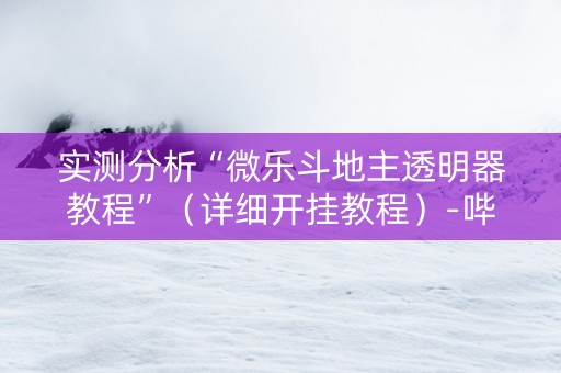 实测分析“微乐斗地主透明器教程”（详细开挂教程）-哔哩哔哩