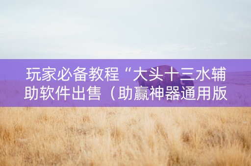 玩家必备教程“大头十三水辅助软件出售（助赢神器通用版）