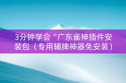 3分钟学会“广东雀神插件安装包（专用辅牌神器免安装）