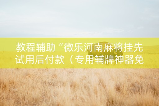 教程辅助“微乐河南麻将挂先试用后付款（专用辅牌神器免安装）