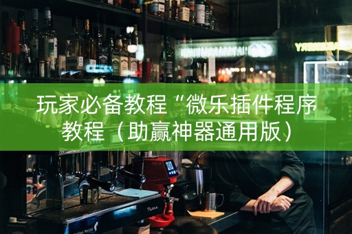 玩家必备教程“微乐插件程序教程（助赢神器通用版）
