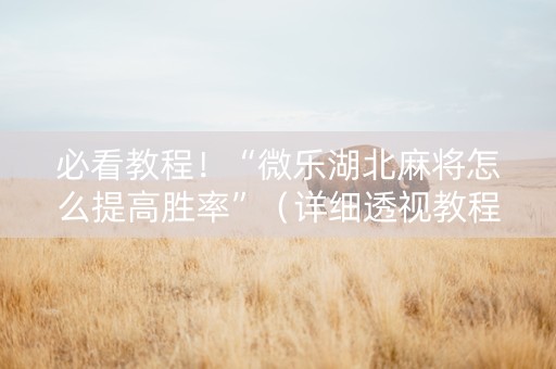 必看教程！“微乐湖北麻将怎么提高胜率”（详细透视教程）-哔哩哔哩