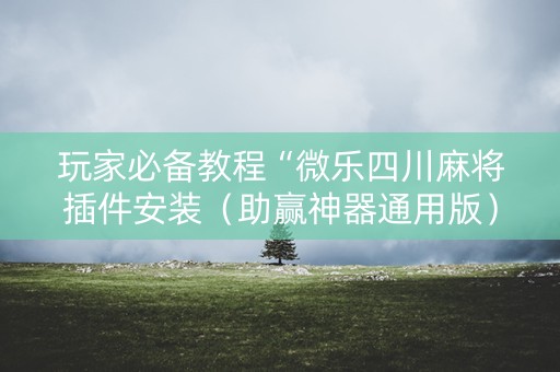 玩家必备教程“微乐四川麻将插件安装（助赢神器通用版）
