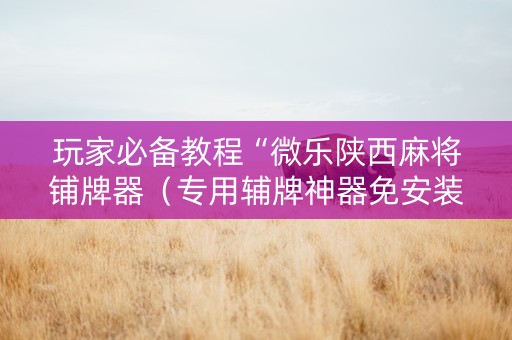 玩家必备教程“微乐陕西麻将铺牌器（专用辅牌神器免安装）