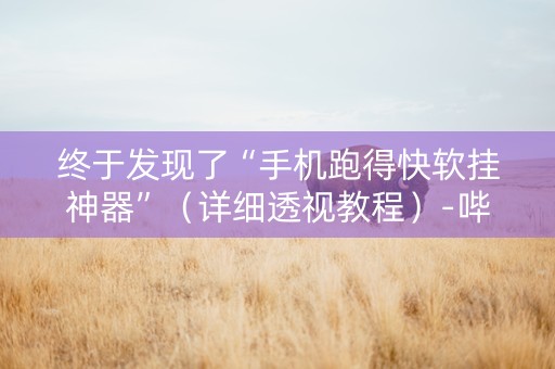 终于发现了“手机跑得快软挂神器”（详细透视教程）-哔哩哔哩
