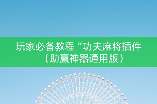 玩家必备教程“功夫麻将插件（助赢神器通用版）