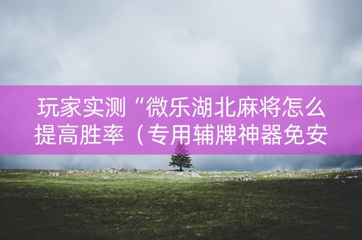 玩家实测“微乐湖北麻将怎么提高胜率（专用辅牌神器免安装）