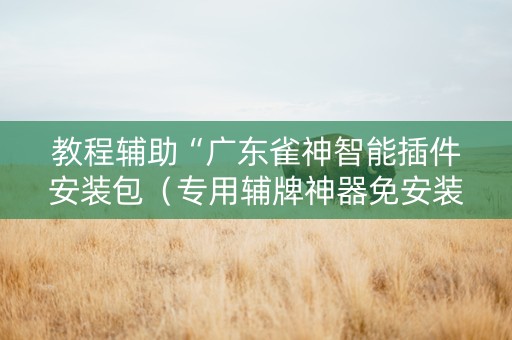 教程辅助“广东雀神智能插件安装包（专用辅牌神器免安装）
