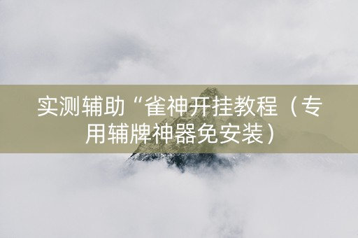 实测辅助“雀神开挂教程（专用辅牌神器免安装）