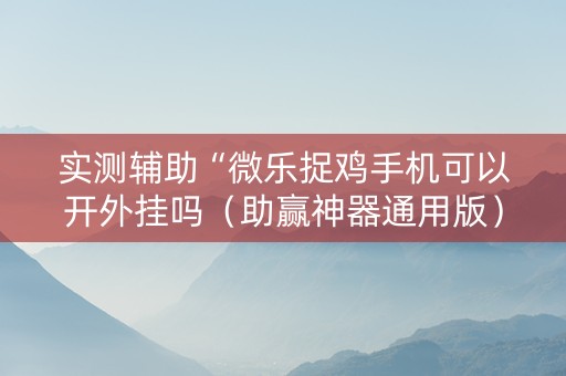 实测辅助“微乐捉鸡手机可以开外挂吗（助赢神器通用版）