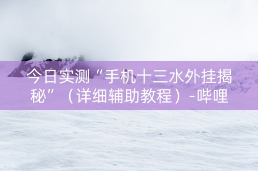 今日实测“手机十三水外挂揭秘”（详细辅助教程）-哔哩哔哩