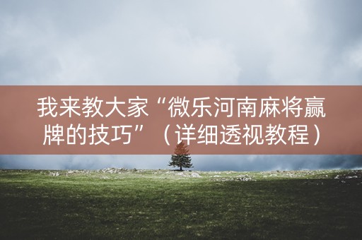 我来教大家“微乐河南麻将赢牌的技巧”（详细透视教程）-哔哩哔哩