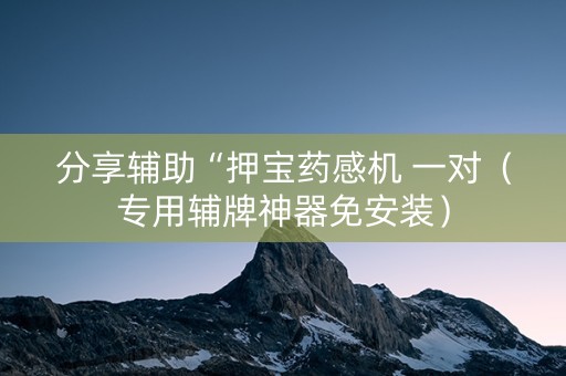 分享辅助“押宝药感机 一对（专用辅牌神器免安装）