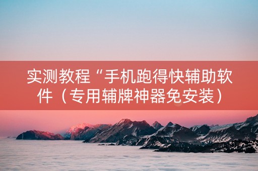 实测教程“手机跑得快辅助软件（专用辅牌神器免安装）