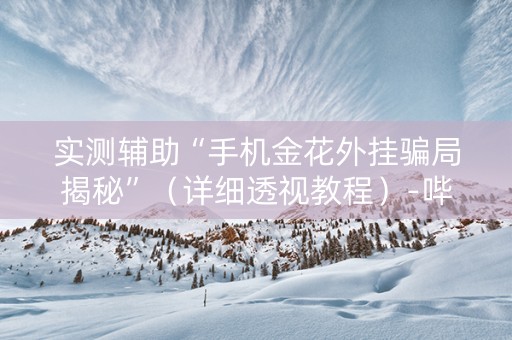 实测辅助“手机金花外挂骗局揭秘”（详细透视教程）-哔哩哔哩