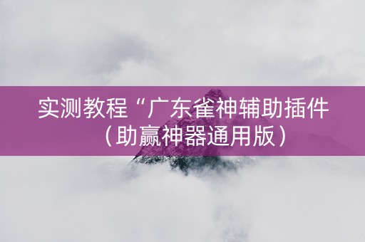 实测教程“广东雀神辅助插件（助赢神器通用版）