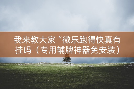 我来教大家“微乐跑得快真有挂吗（专用辅牌神器免安装）