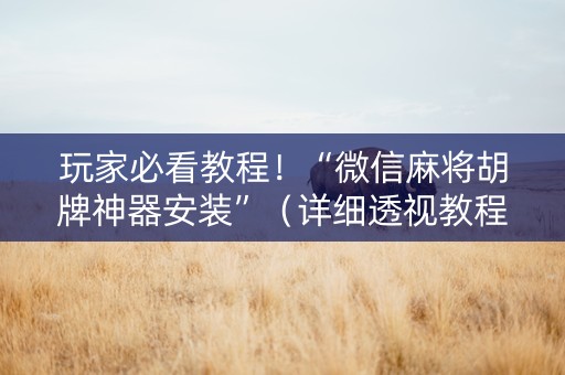玩家必看教程！“微信麻将胡牌神器安装”（详细透视教程）-哔哩哔哩