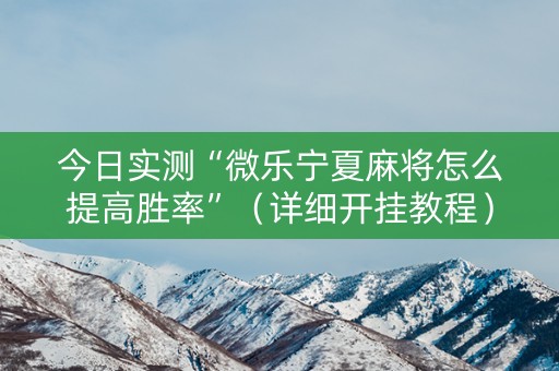 今日实测“微乐宁夏麻将怎么提高胜率”（详细开挂教程）-哔哩哔哩