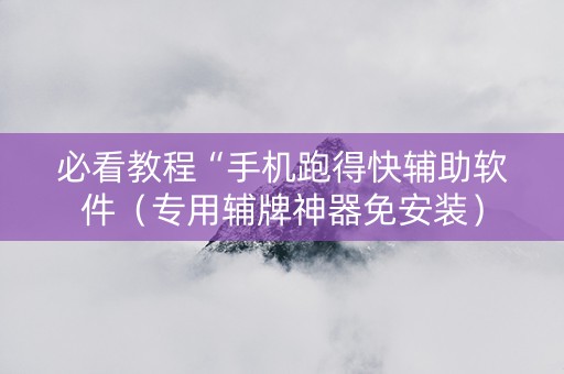 必看教程“手机跑得快辅助软件（专用辅牌神器免安装）