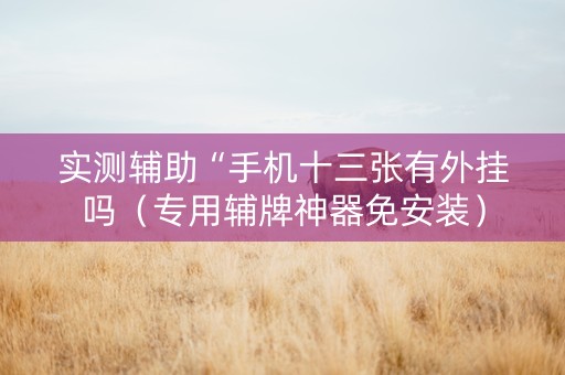实测辅助“手机十三张有外挂吗（专用辅牌神器免安装）