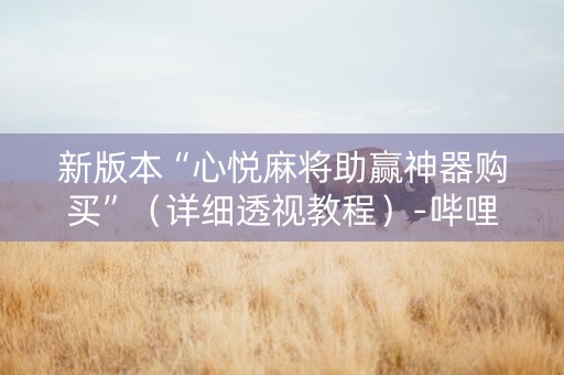 新版本“心悦麻将助赢神器购买”（详细透视教程）-哔哩哔哩