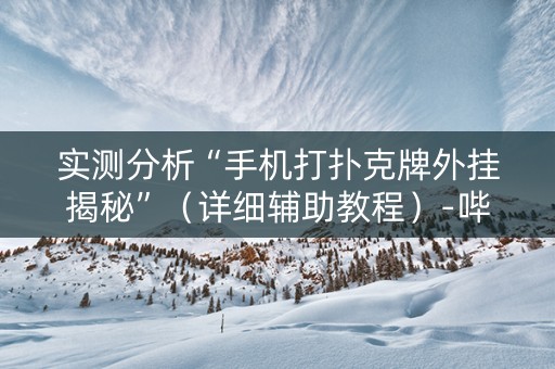 实测分析“手机打扑克牌外挂揭秘”（详细辅助教程）-哔哩哔哩