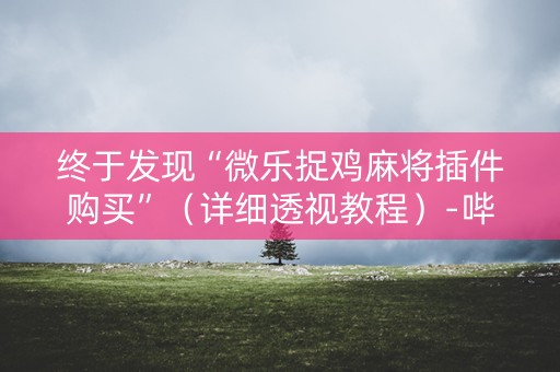 终于发现“微乐捉鸡麻将插件购买”（详细透视教程）-哔哩哔哩