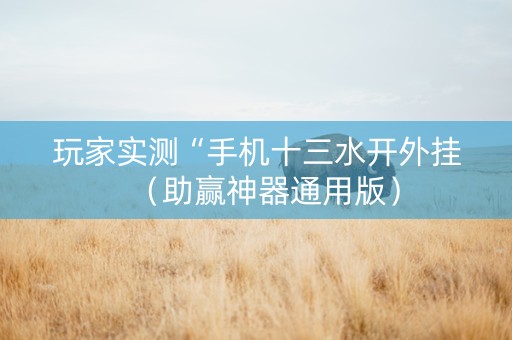 玩家实测“手机十三水开外挂（助赢神器通用版）