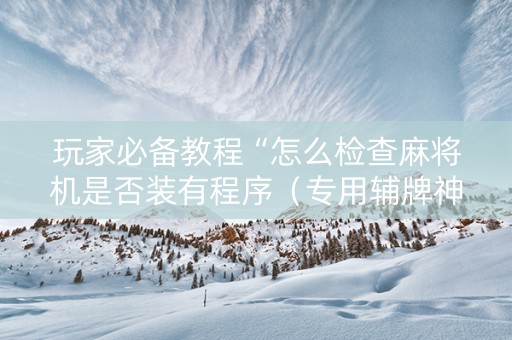 玩家必备教程“怎么检查麻将机是否装有程序（专用辅牌神器免安装）