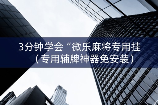 3分钟学会“微乐麻将专用挂（专用辅牌神器免安装）