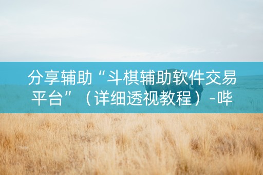 分享辅助“斗棋辅助软件交易平台”（详细透视教程）-哔哩哔哩