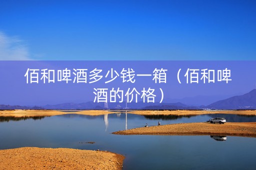 佰和啤酒多少钱一箱（佰和啤酒的价格）