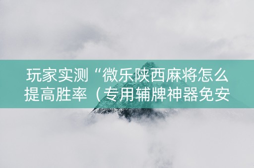 玩家实测“微乐陕西麻将怎么提高胜率（专用辅牌神器免安装）