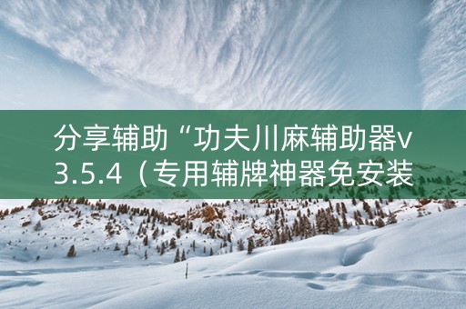 分享辅助“功夫川麻辅助器v3.5.4（专用辅牌神器免安装）