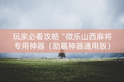 玩家必看攻略“微乐山西麻将专用神器（助赢神器通用版）