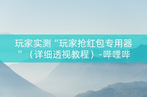 玩家实测“玩家抢红包专用器”（详细透视教程）-哔哩哔哩